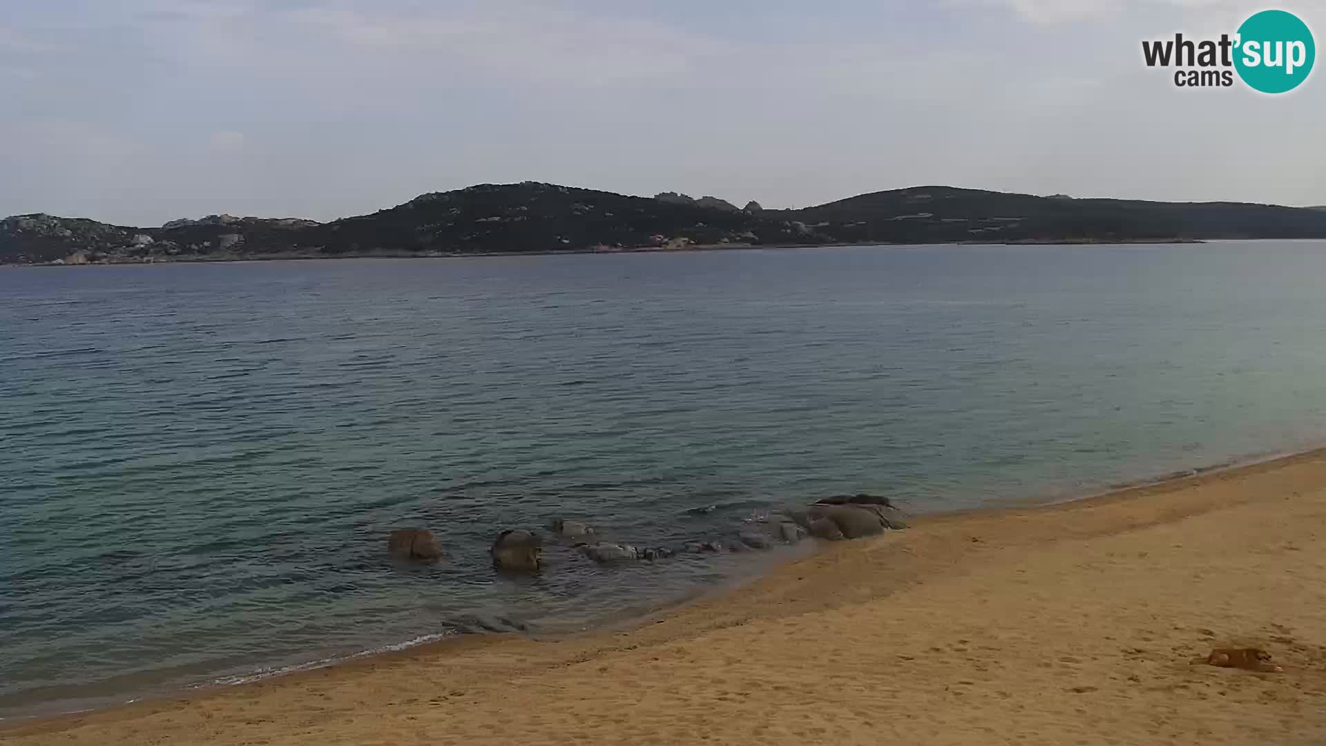 Webcam Playa Porto Pollo – Rupi’s