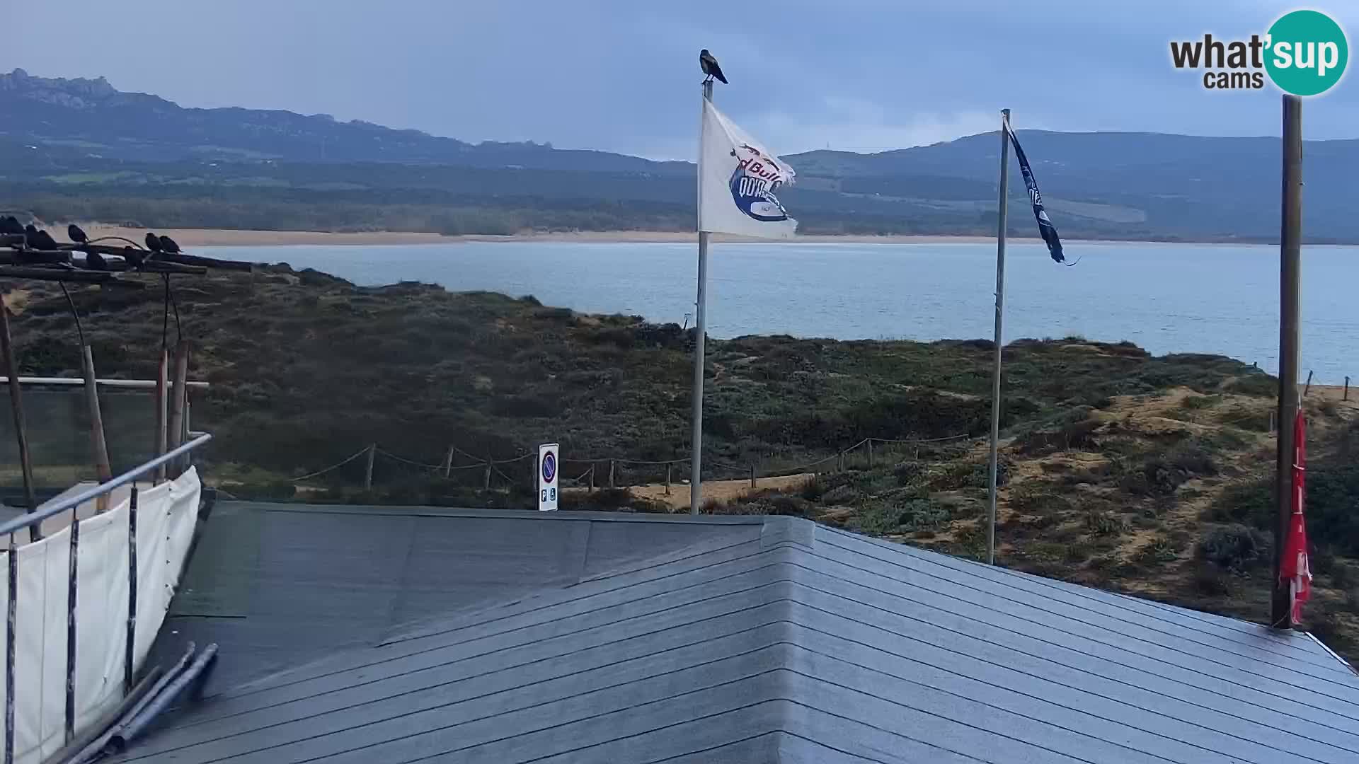 Webcam Playa Porto Pollo – Rupi’s