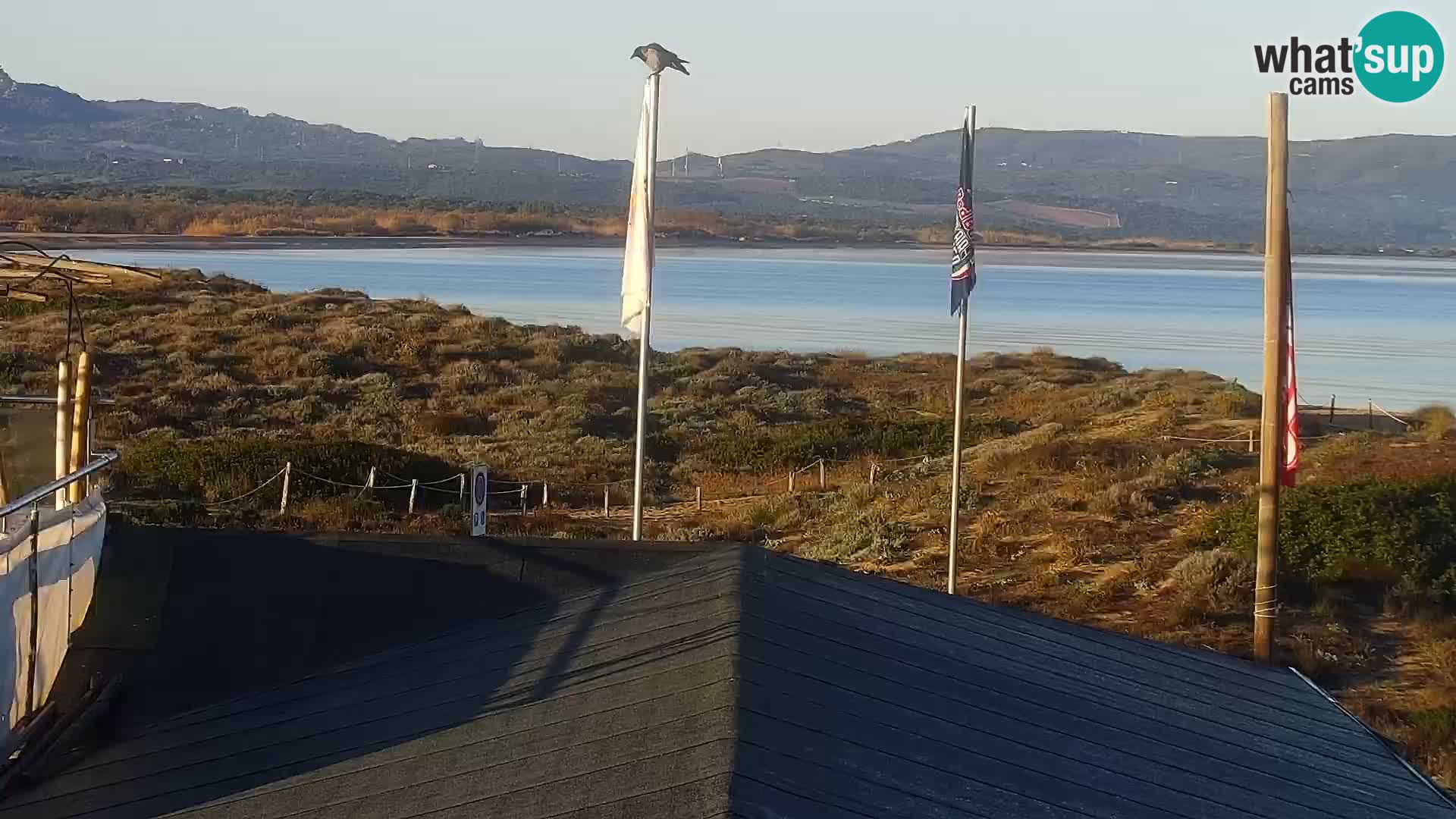 Webcam Strand Porto Pollo – Rupi’s