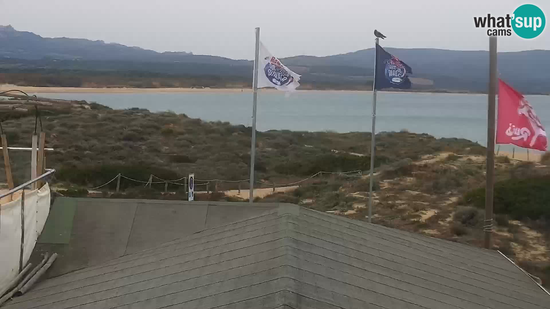 Webcam Strand Porto Pollo – Rupi’s