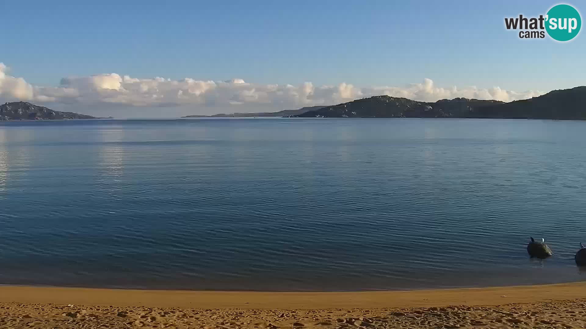 Webcam plage Porto Pollo – Rupi’s