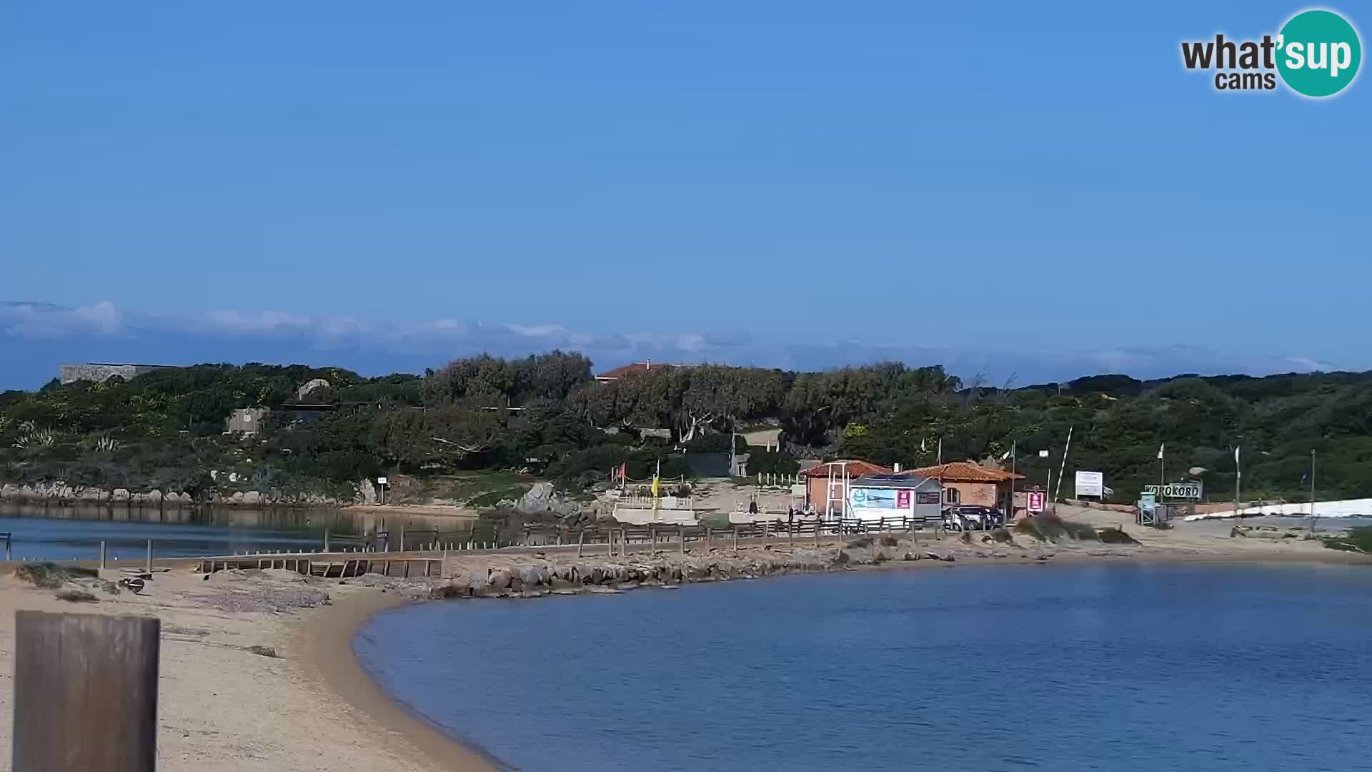Webcam spiaggia Porto Pollo – Rupi’s bar