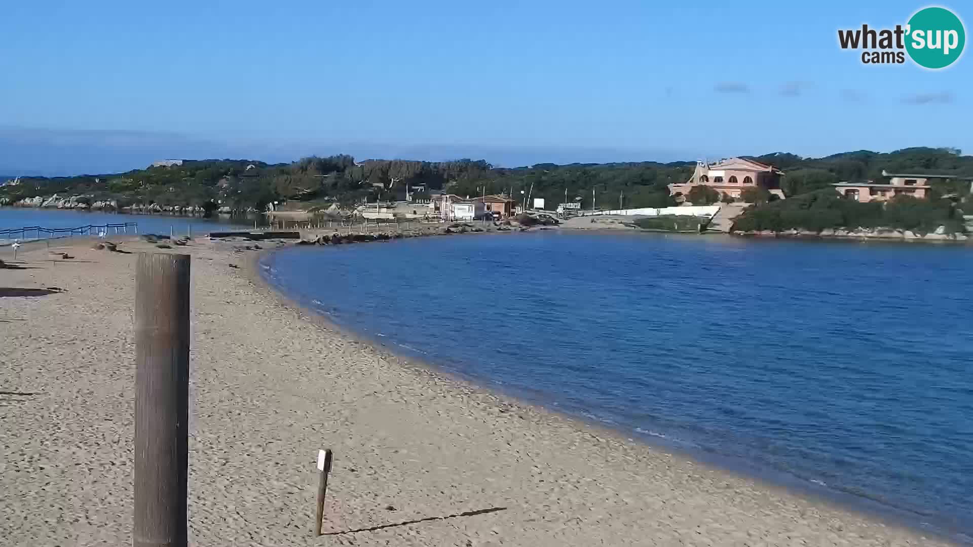 Webcam Strand Porto Pollo – Rupi’s