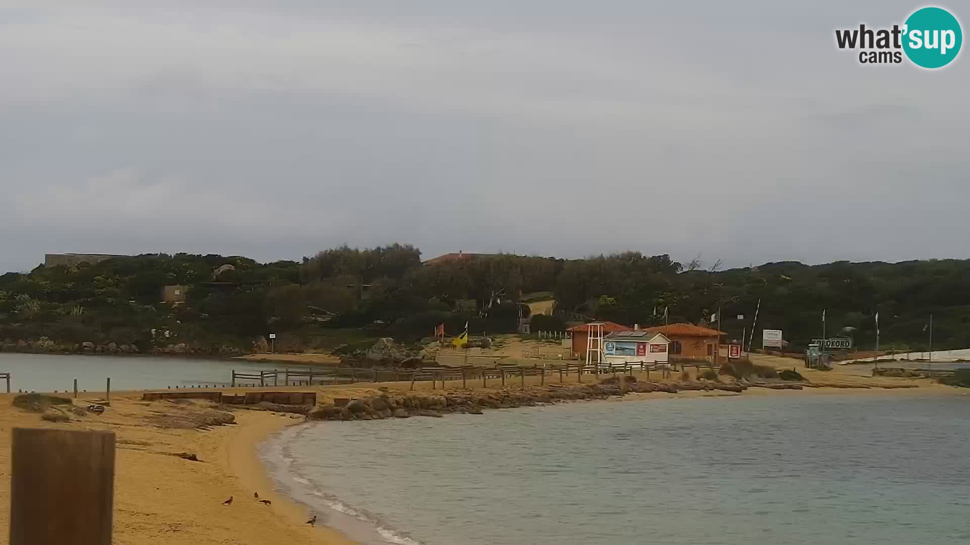 Webcam plage Porto Pollo – Rupi’s