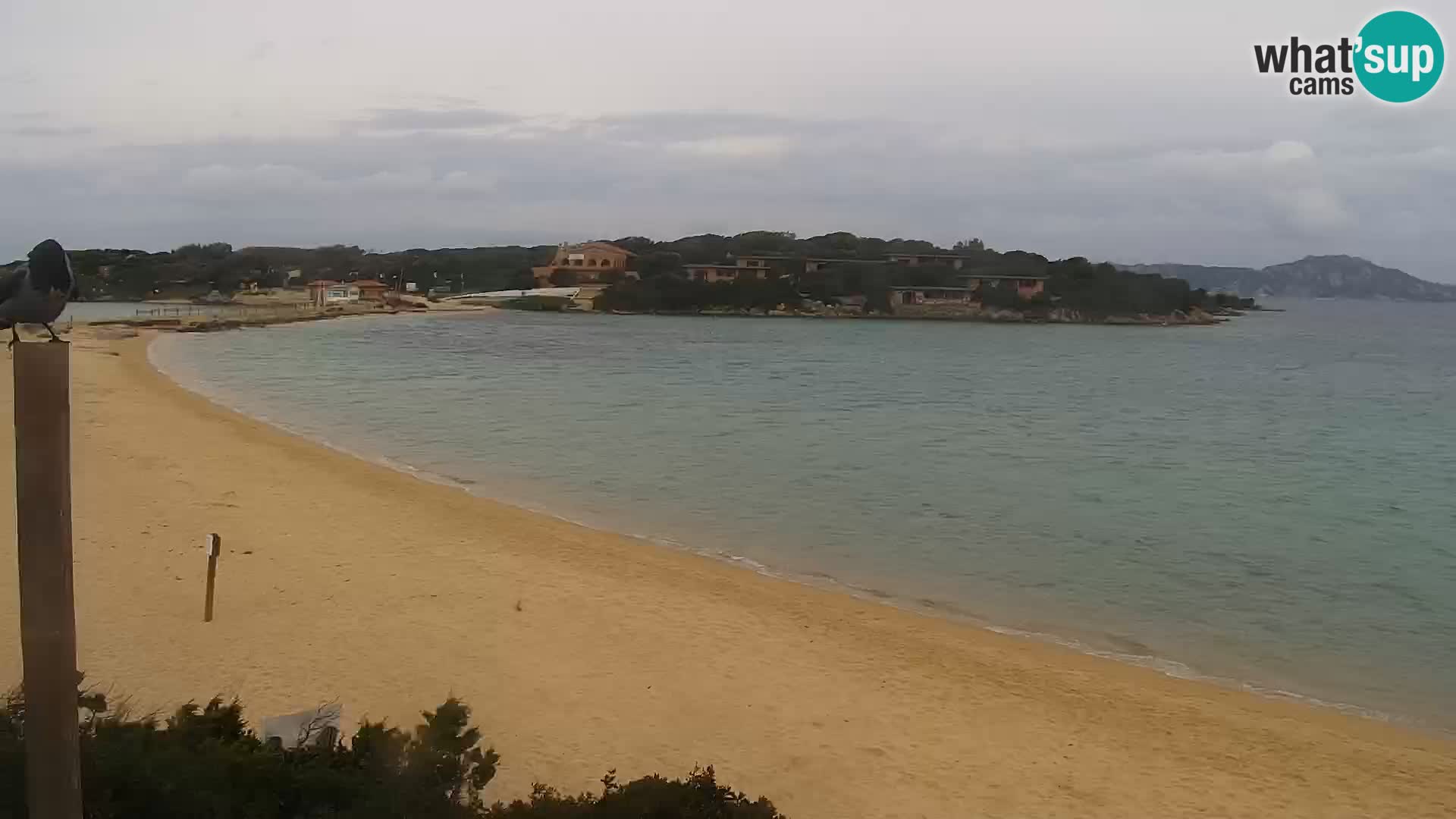 Webcam spiaggia Porto Pollo – Rupi’s bar