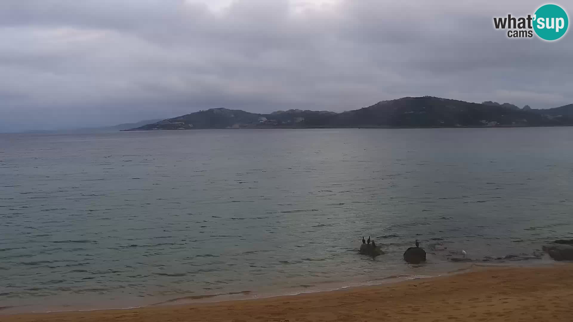 Webcam spiaggia Porto Pollo – Rupi’s bar