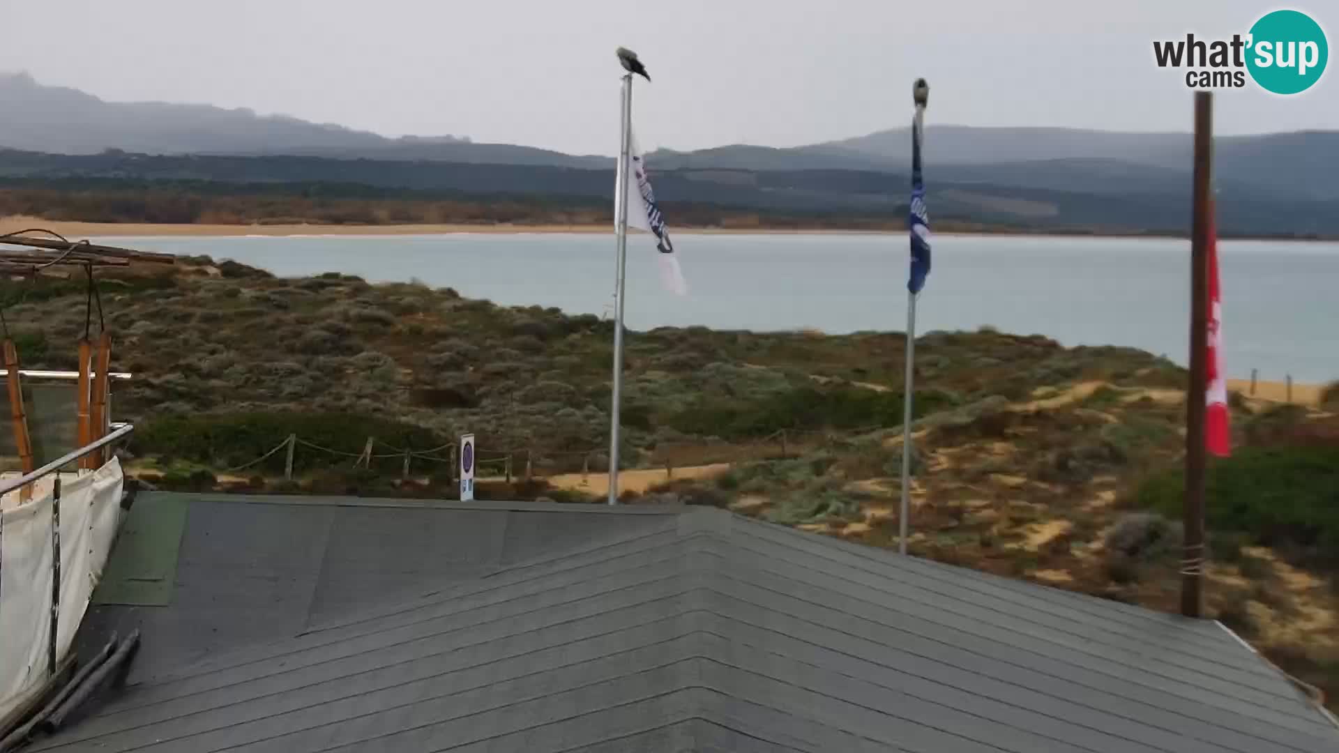 Webcam spiaggia Porto Pollo – Rupi’s bar