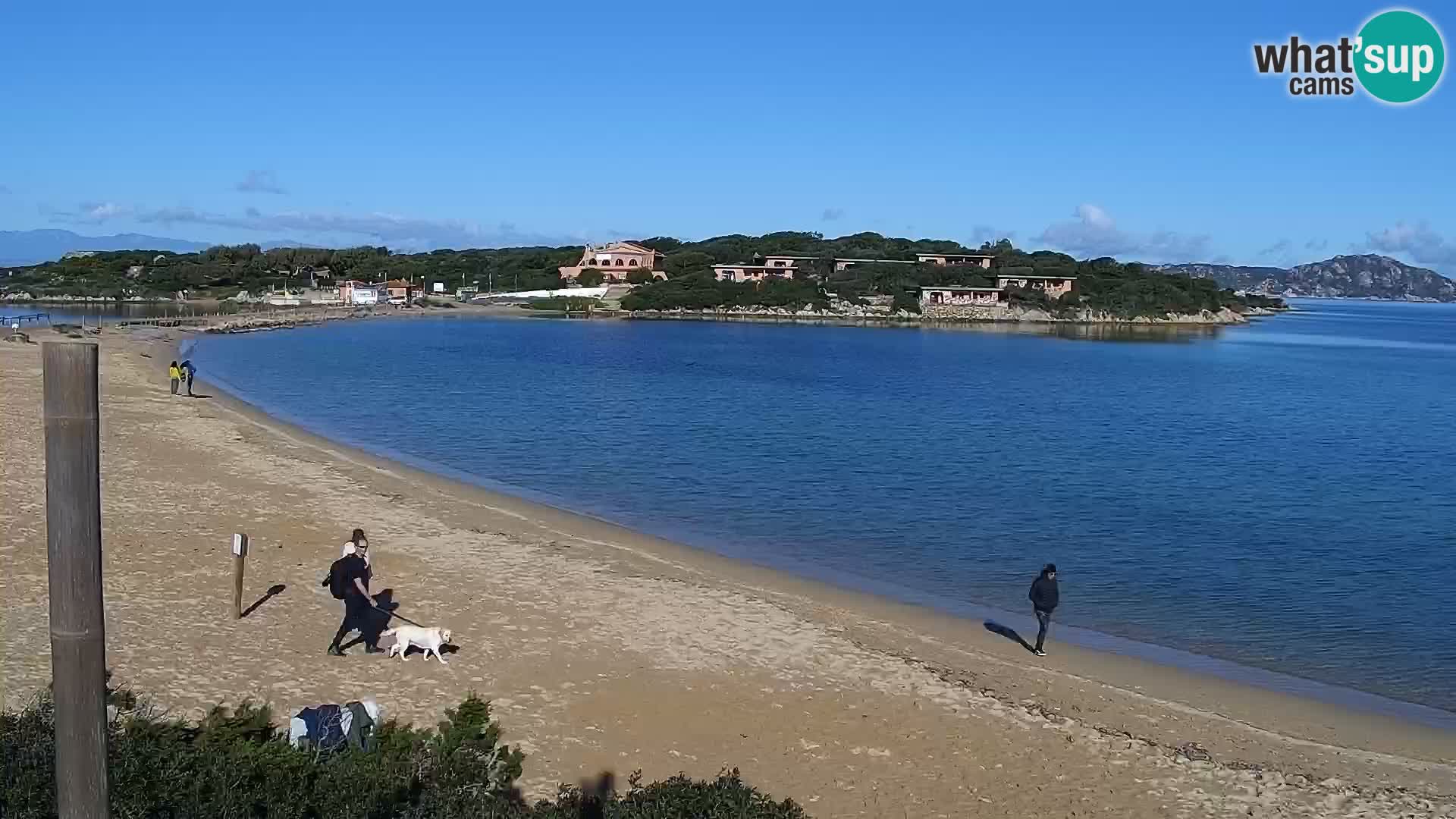 Webcam Strand Porto Pollo – Rupi’s