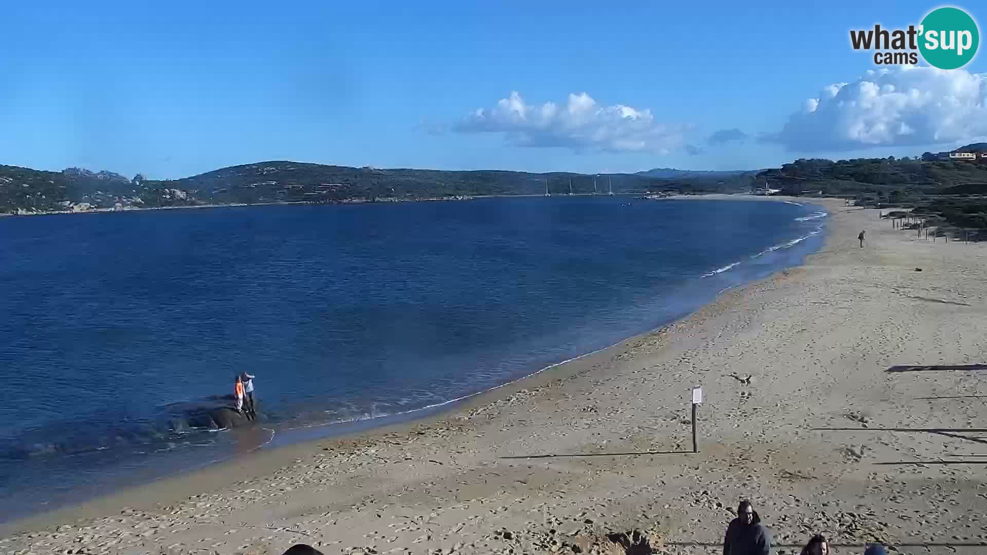 Webcam Porto Pollo Beach – Rupi’s