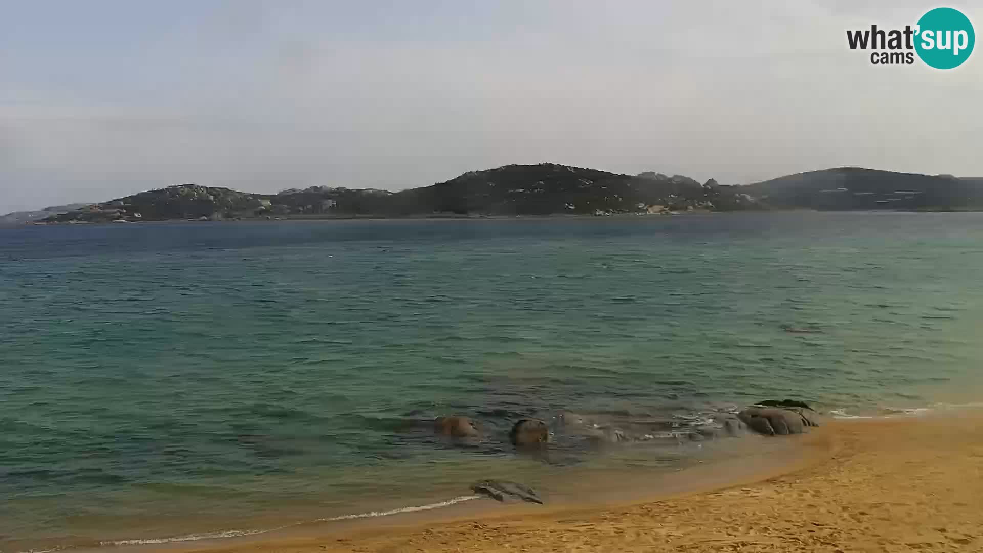 Webcam Strand Porto Pollo – Rupi’s