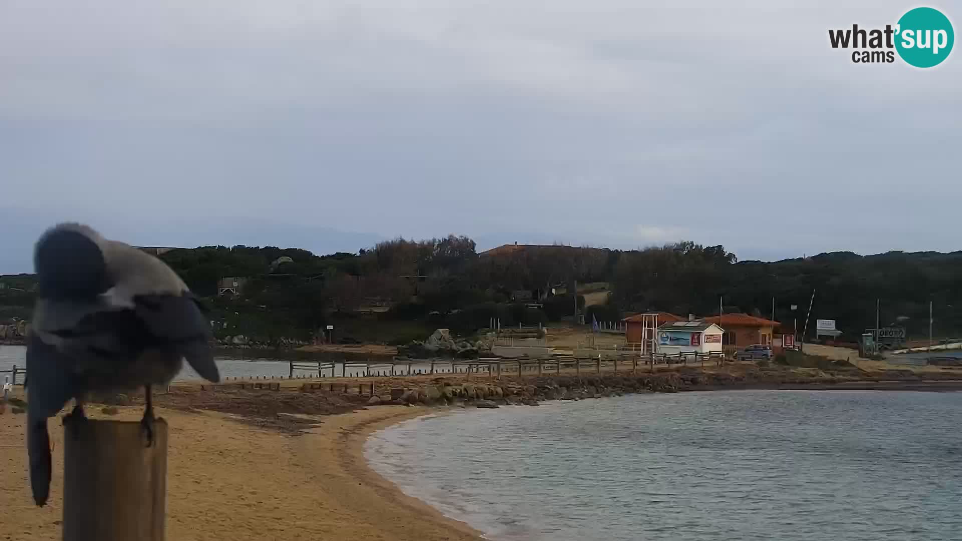 Webcam Strand Porto Pollo – Rupi’s