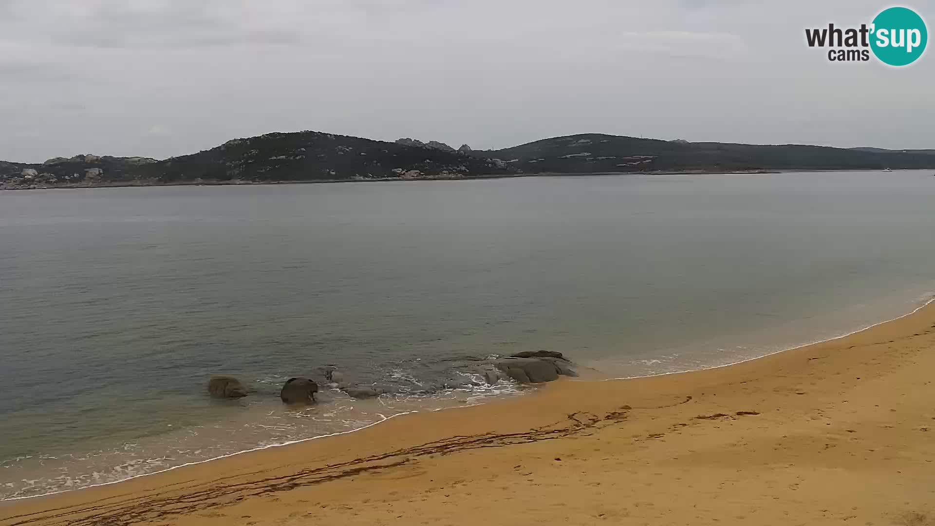 Webcam spiaggia Porto Pollo – Rupi’s bar