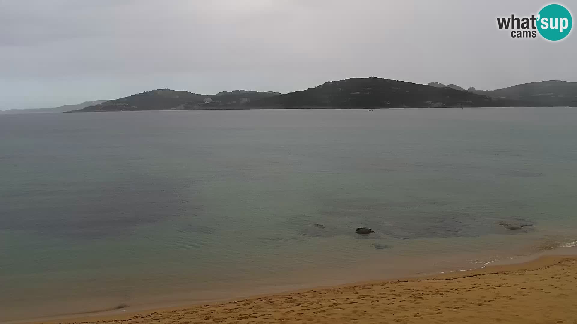 Webcam Porto Pollo Beach – Rupi’s