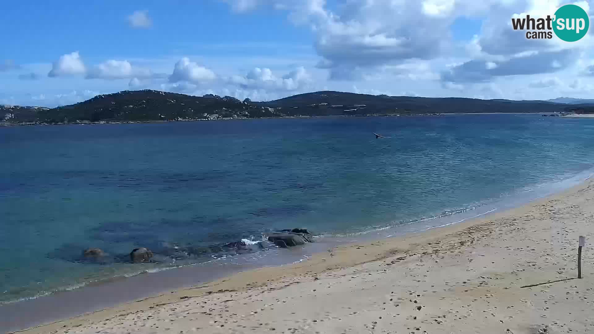 Webcam Playa Porto Pollo – Rupi’s