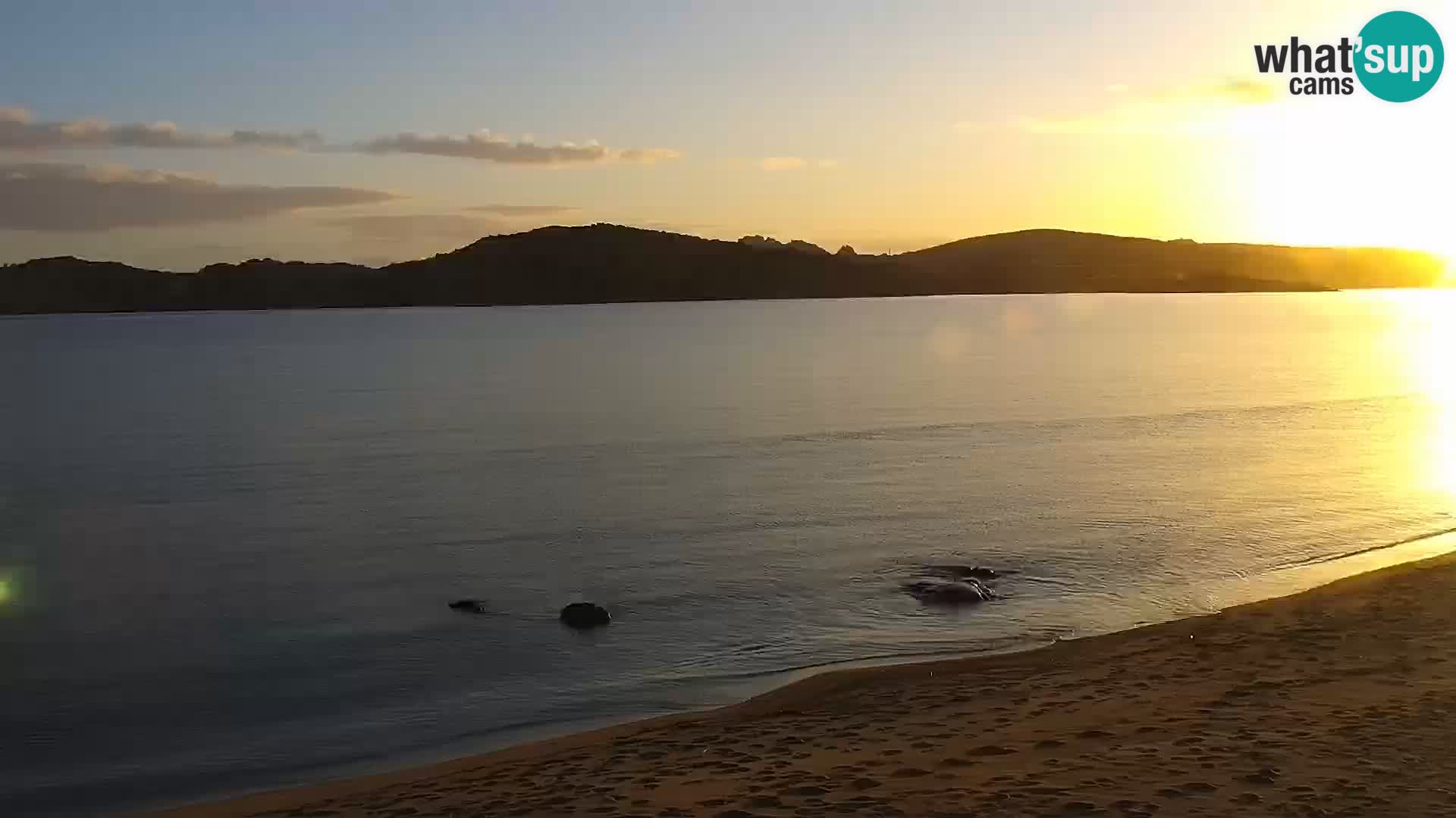 Webcam Strand Porto Pollo – Rupi’s