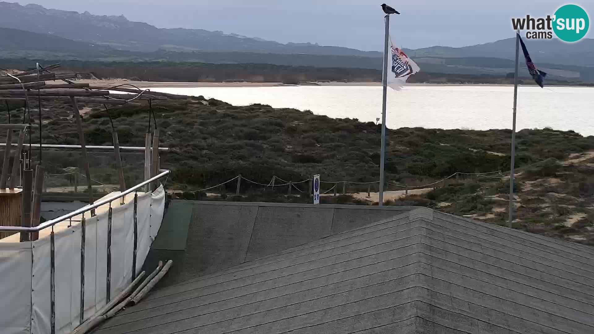 Spletna kamera plaža Porto Pollo – Rupi’s