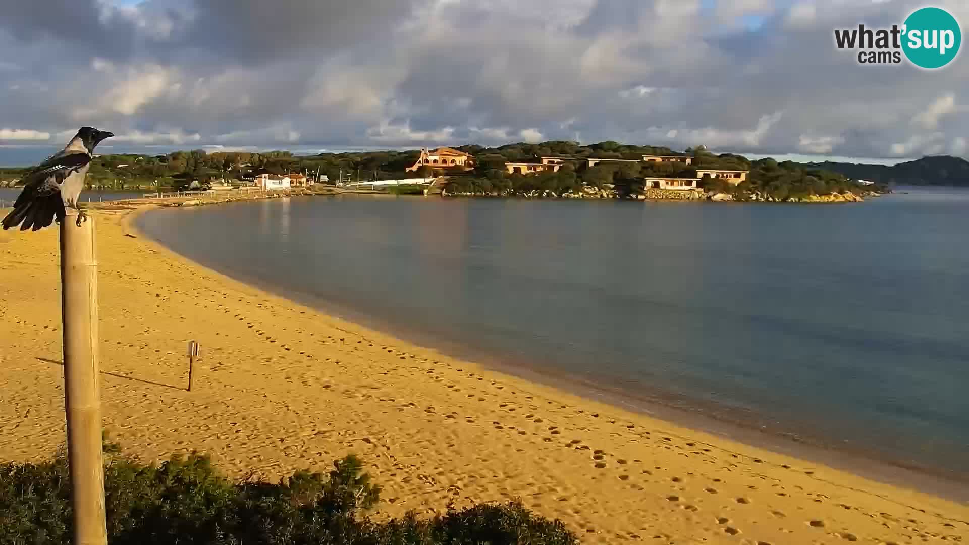 Web kamera plaža Porto Pollo – Rupi’s