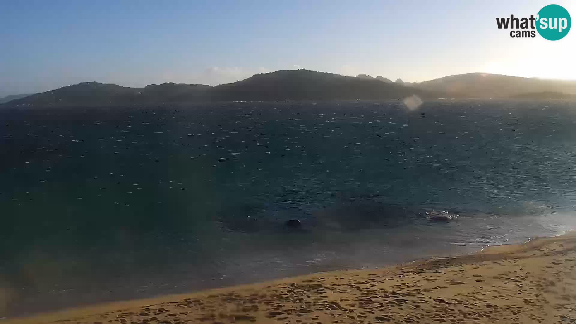 Webcam spiaggia Porto Pollo – Rupi’s bar