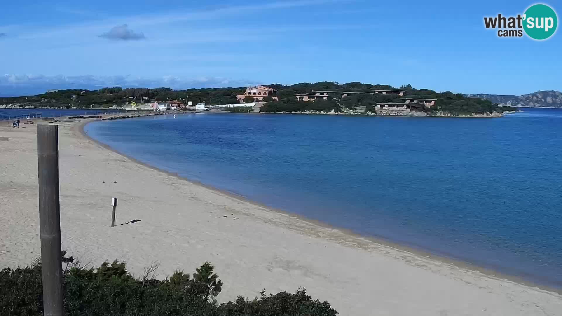 Webcam Strand Porto Pollo – Rupi’s