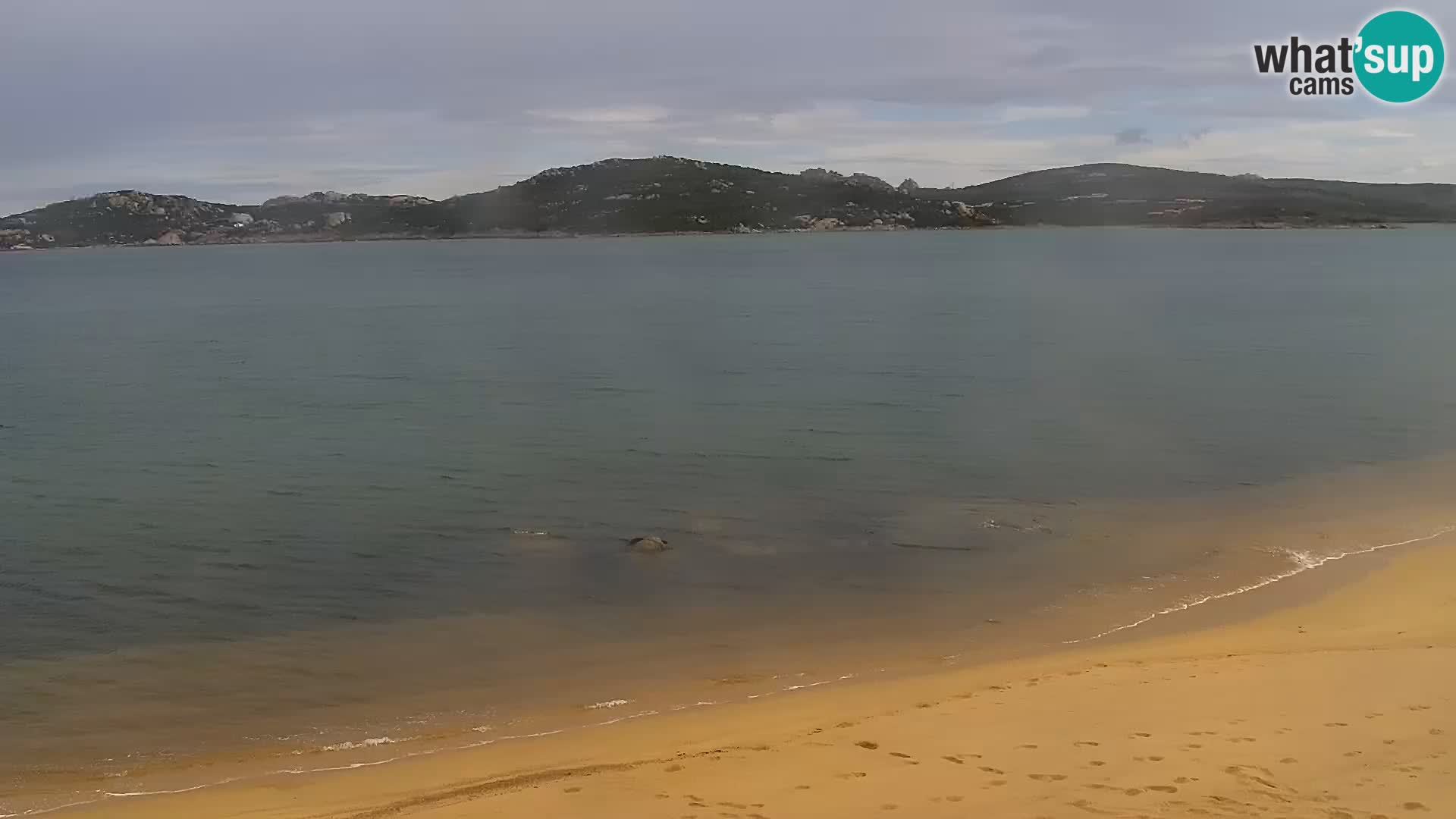 Webcam Playa Porto Pollo – Rupi’s