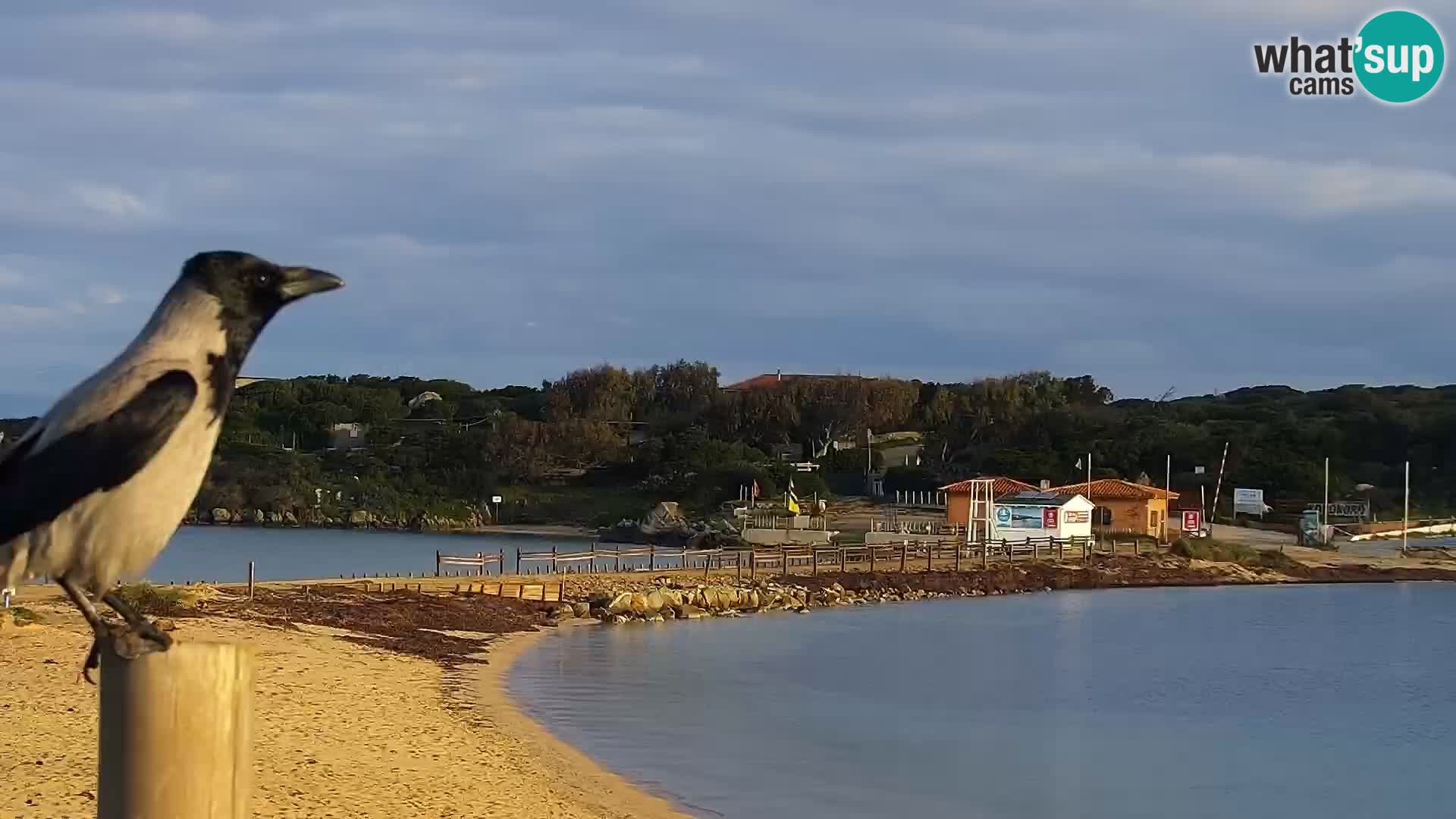 Webcam spiaggia Porto Pollo – Rupi’s bar