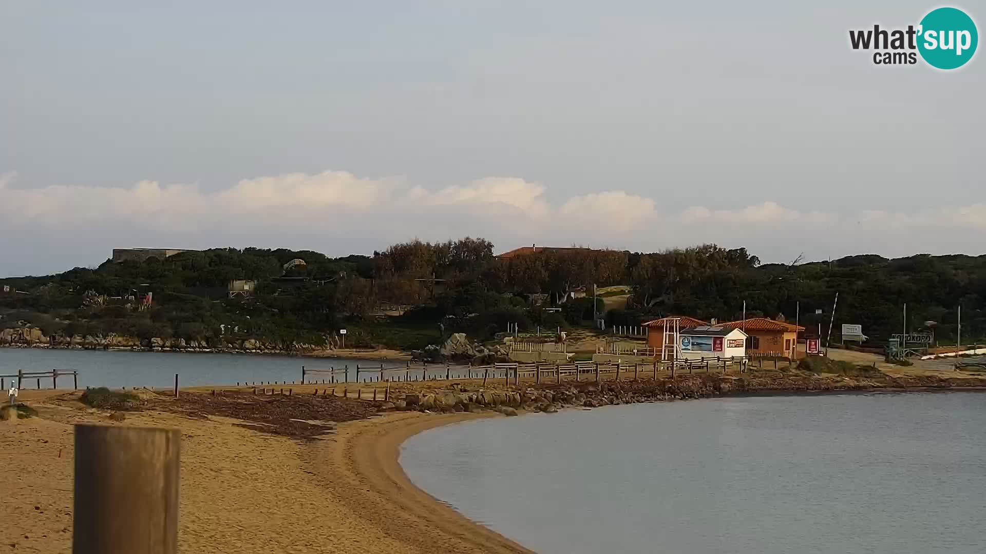 Webcam Strand Porto Pollo – Rupi’s