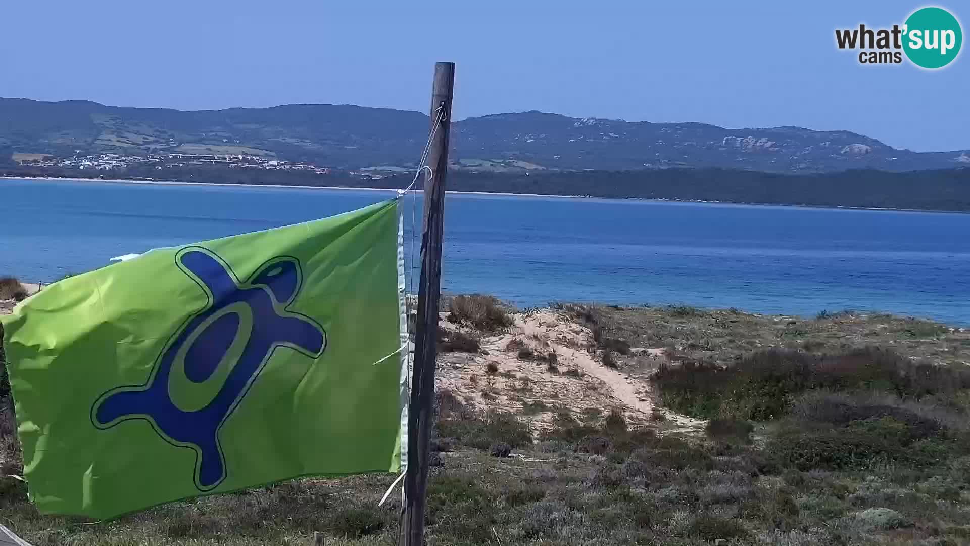 Webcam spiaggia Porto Pollo – Rupi’s bar