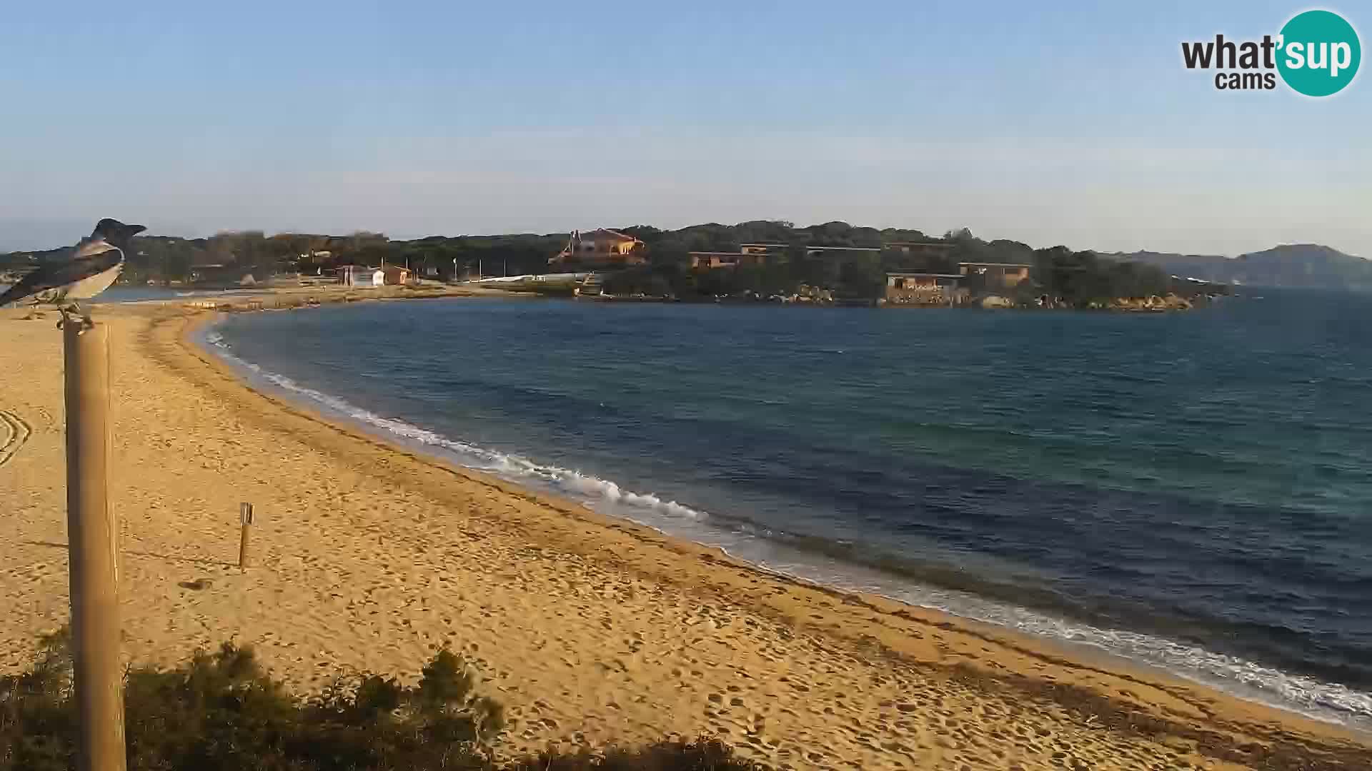 Webcam Playa Porto Pollo – Rupi’s