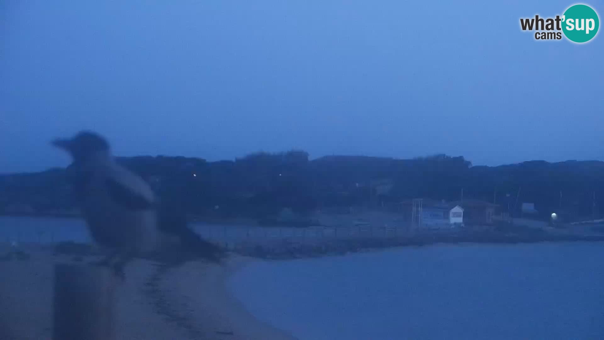 Webcam plage Porto Pollo – Rupi’s