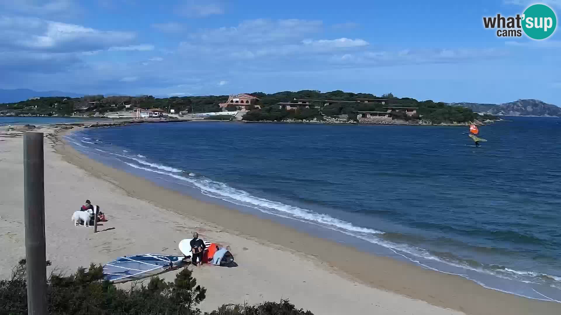 Webcam Strand Porto Pollo – Rupi’s