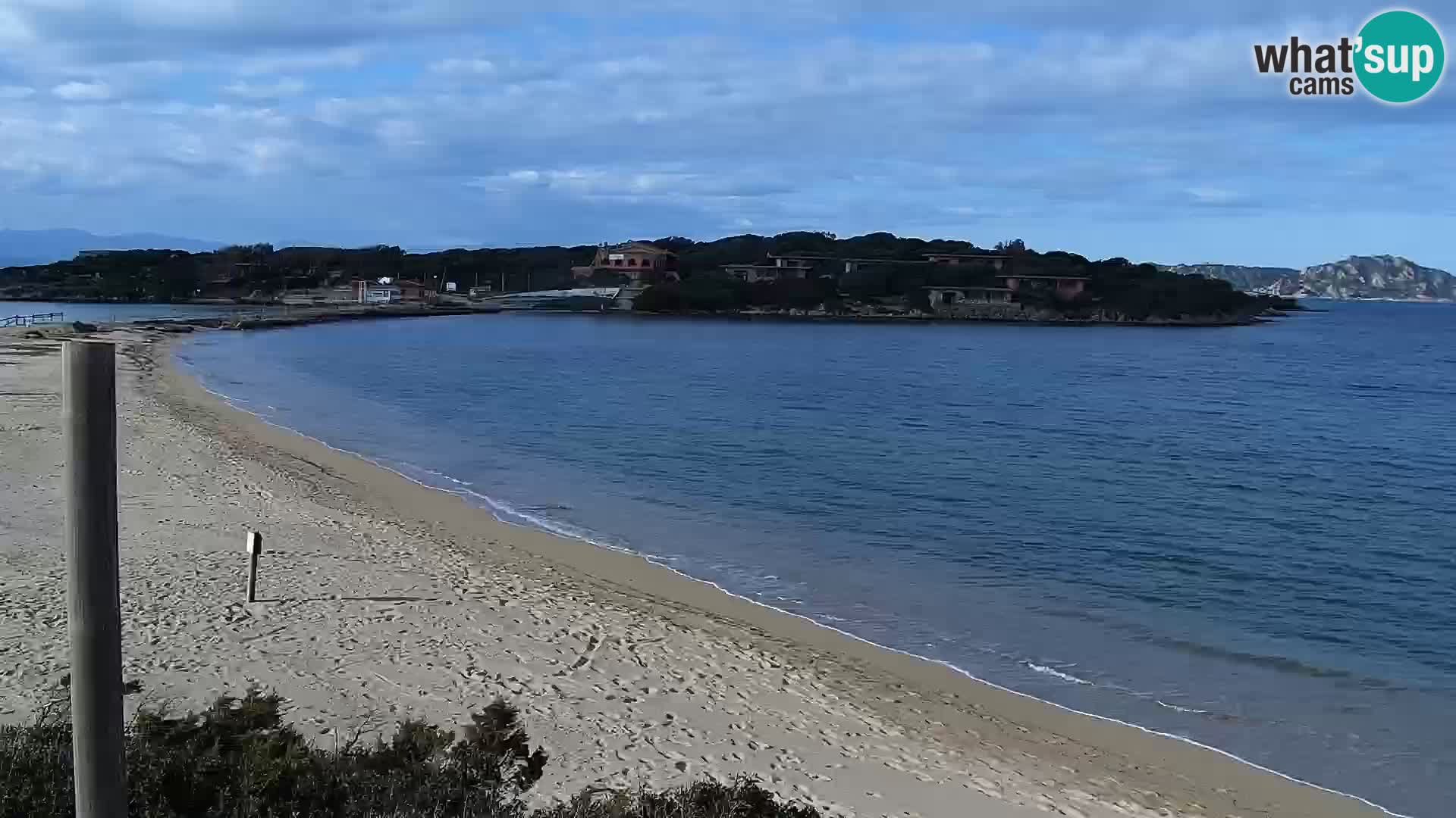 Webcam plage Porto Pollo – Rupi’s