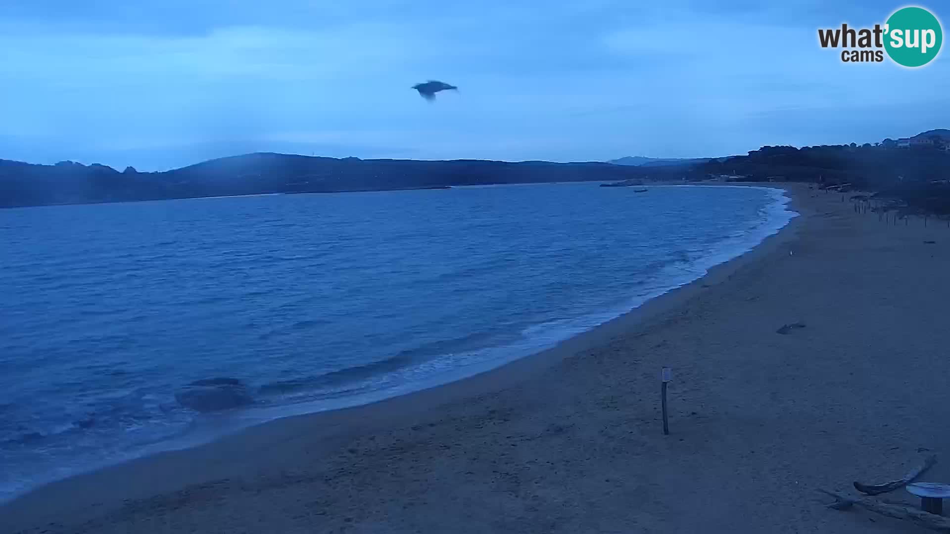 Webcam Porto Pollo Beach – Rupi’s