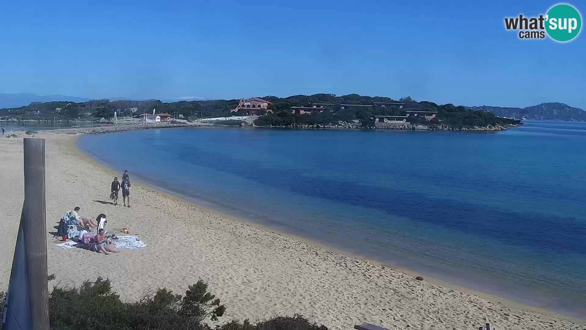 Webcam Strand Porto Pollo – Rupi’s