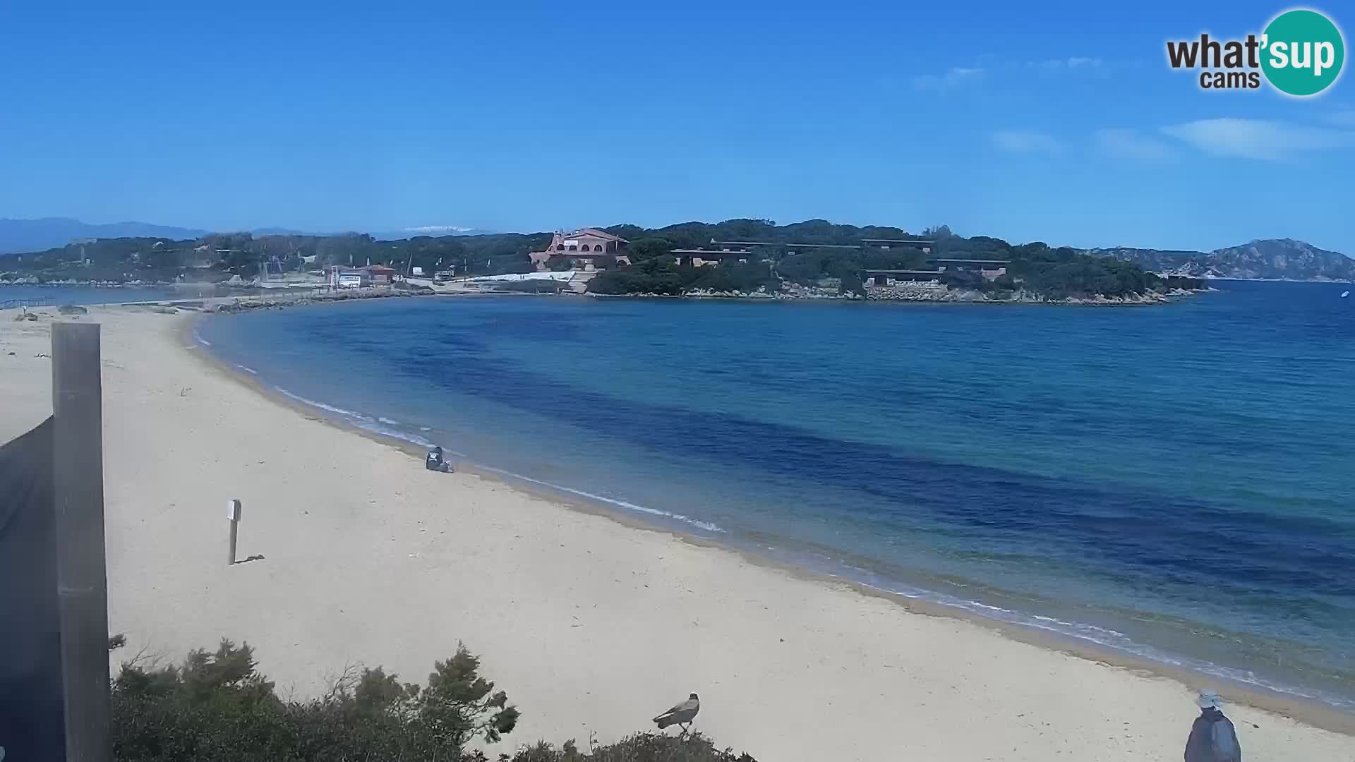 Webcam Playa Porto Pollo – Rupi’s