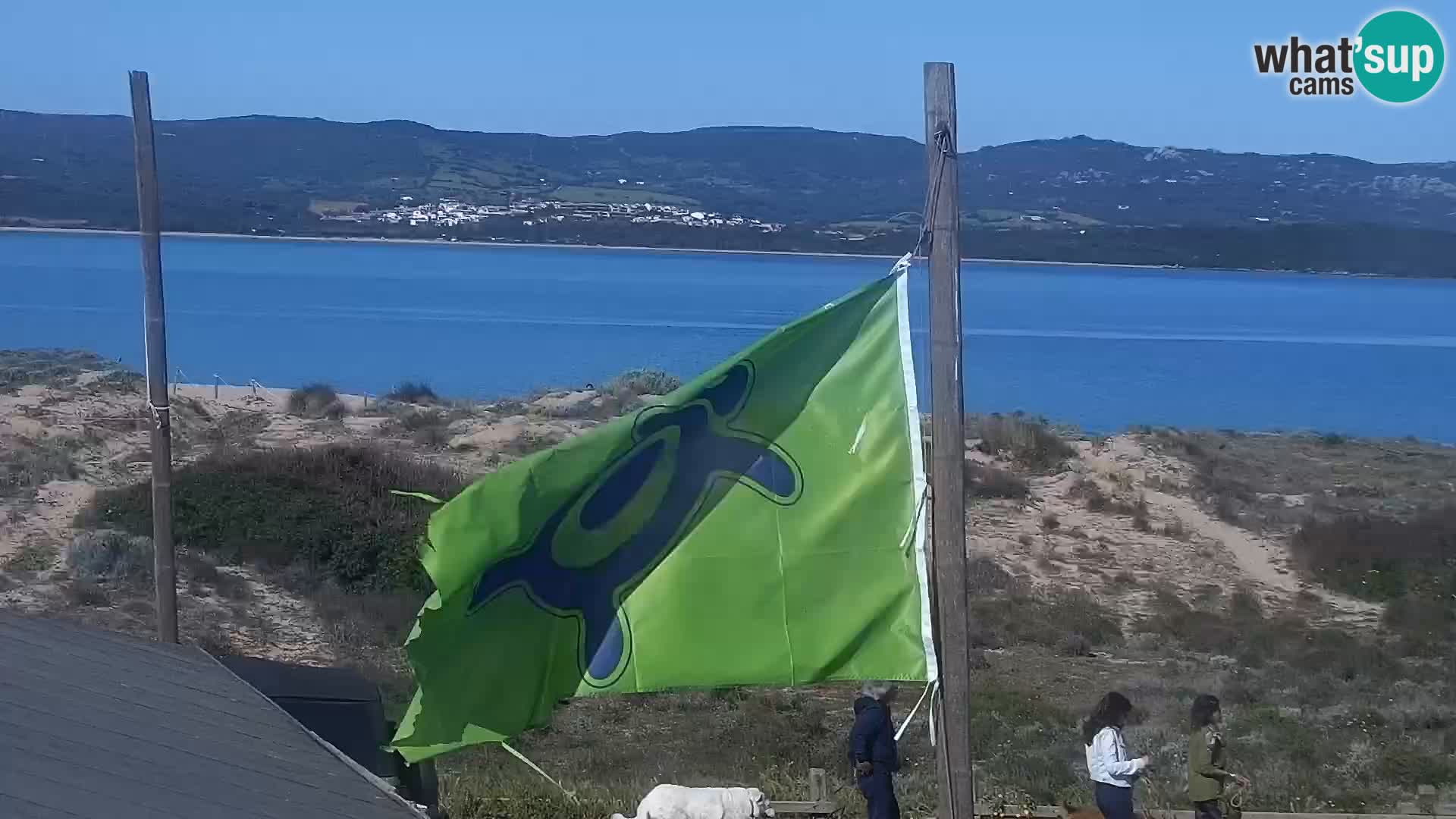 Webcam spiaggia Porto Pollo – Rupi’s bar