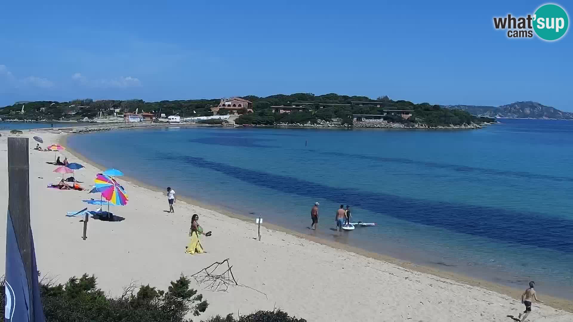 Webcam spiaggia Porto Pollo – Rupi’s bar