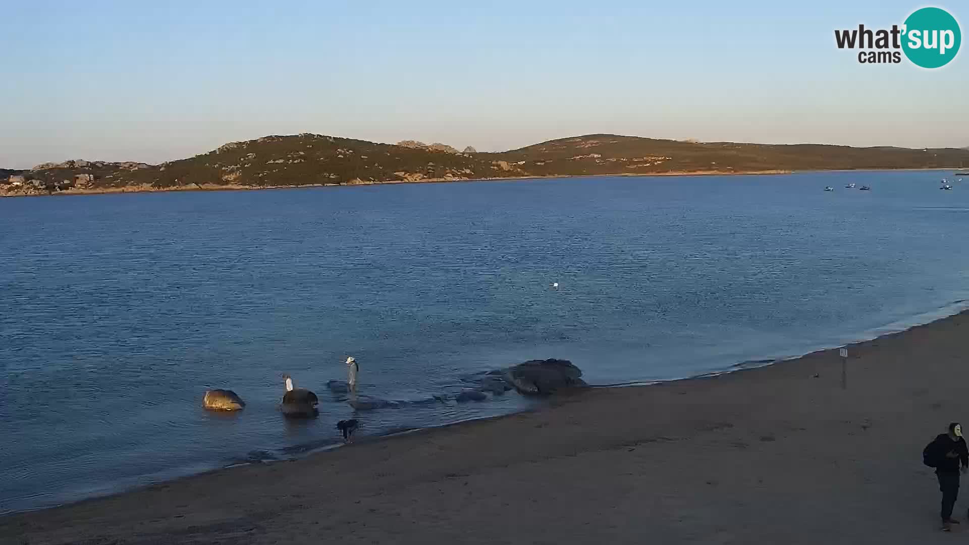 Webcam plage Porto Pollo – Rupi’s