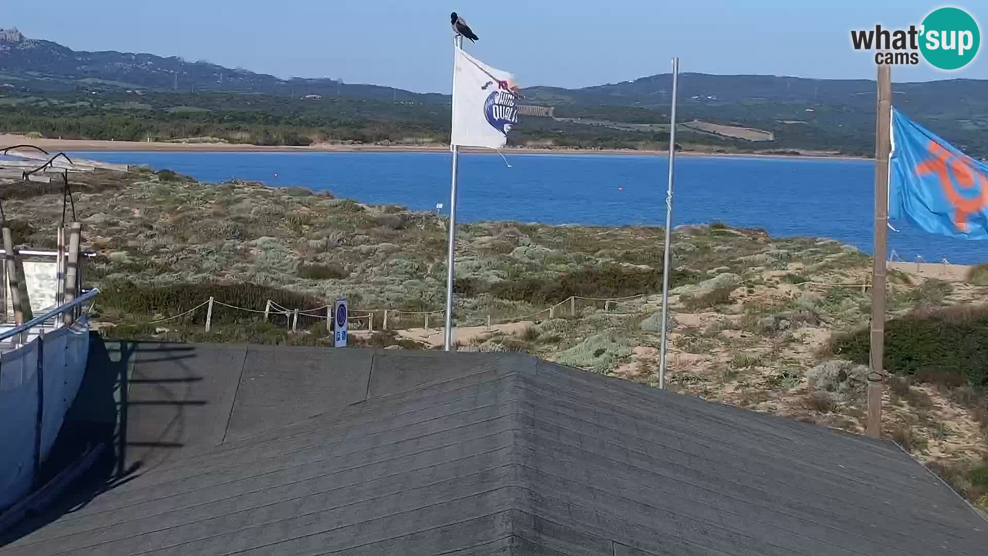 Webcam Strand Porto Pollo – Rupi’s