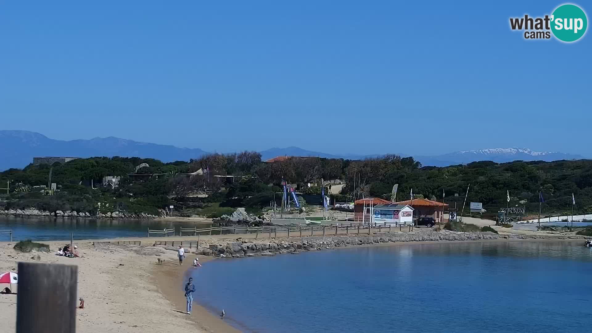 Web kamera plaža Porto Pollo – Rupi’s