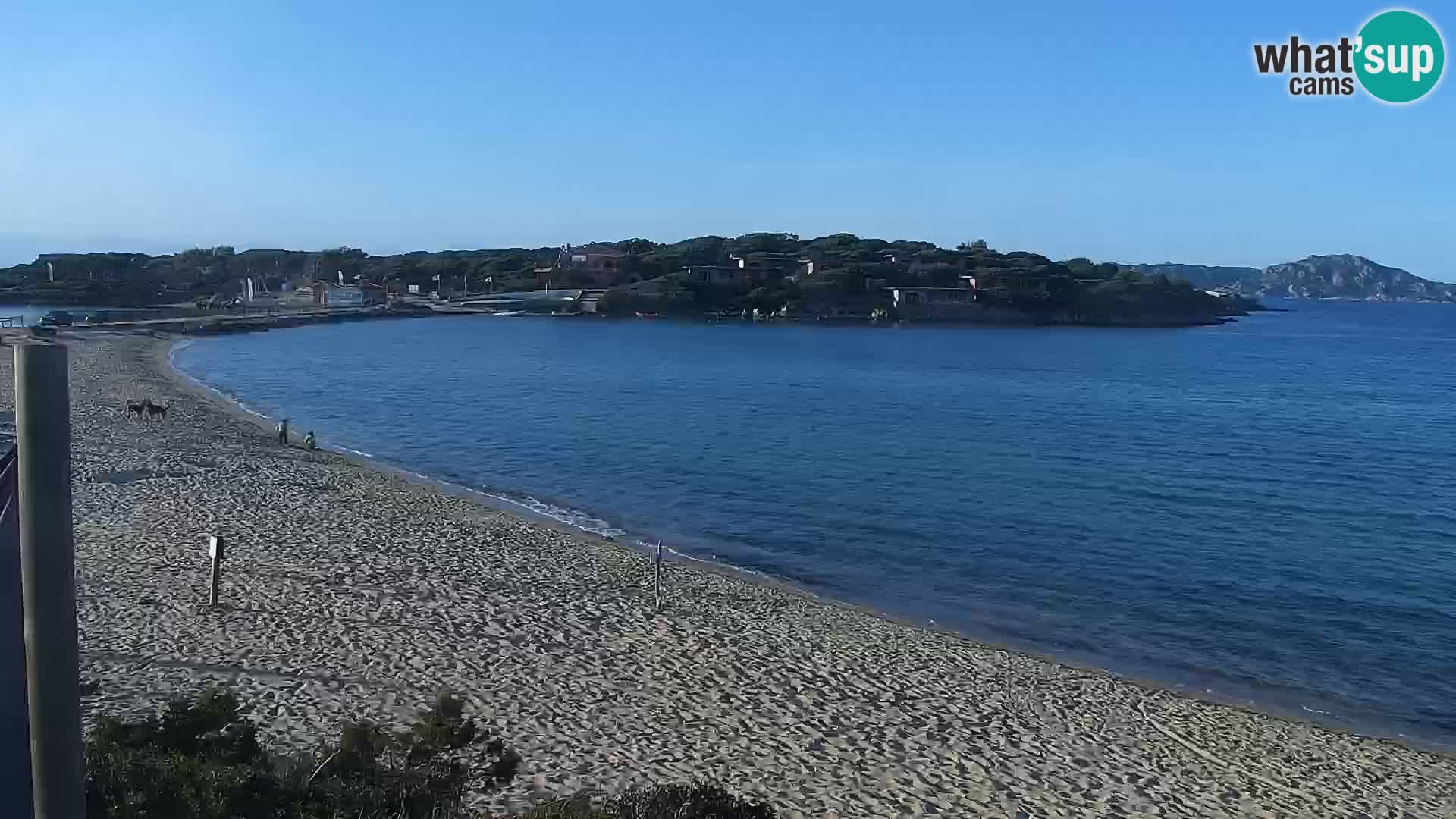 Webcam spiaggia Porto Pollo – Rupi’s bar