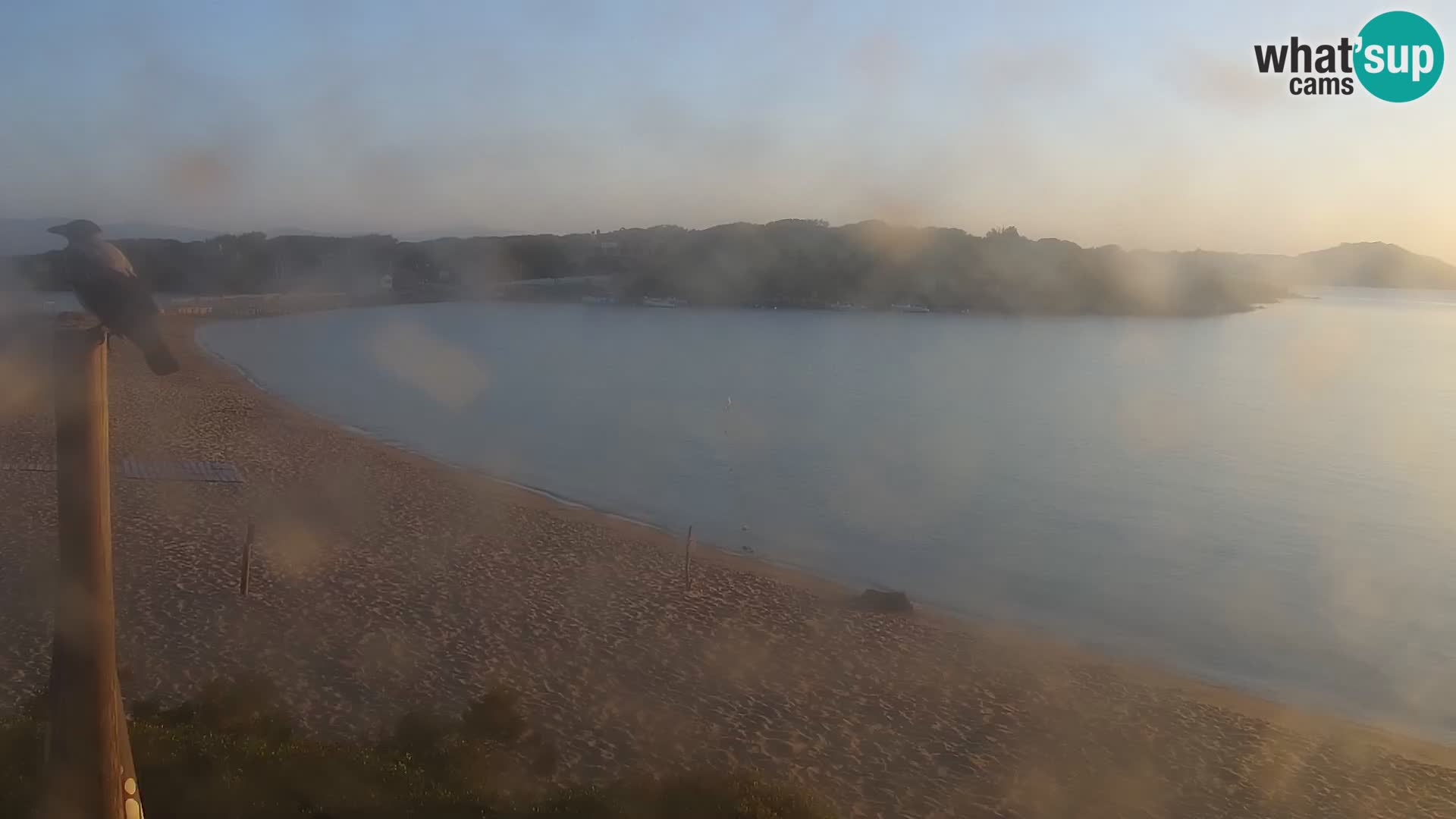Webcam spiaggia Porto Pollo – Rupi’s bar