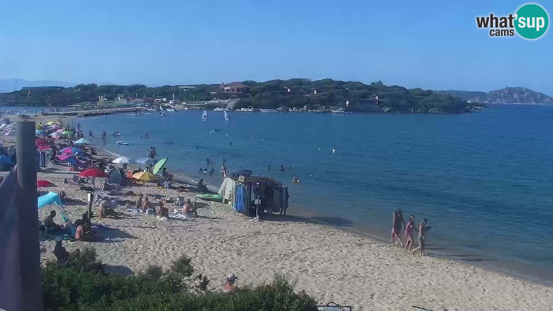 Webcam spiaggia Porto Pollo – Rupi’s bar