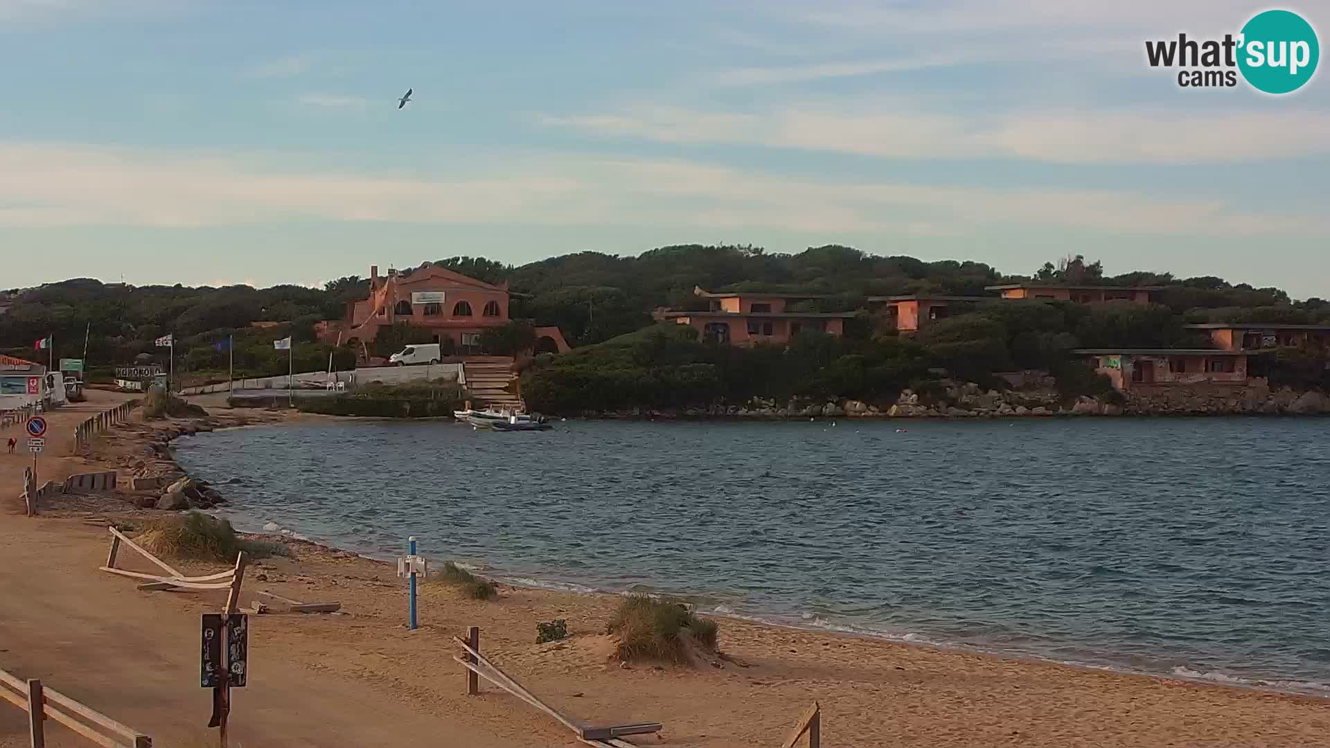 Porto Pollo Beach