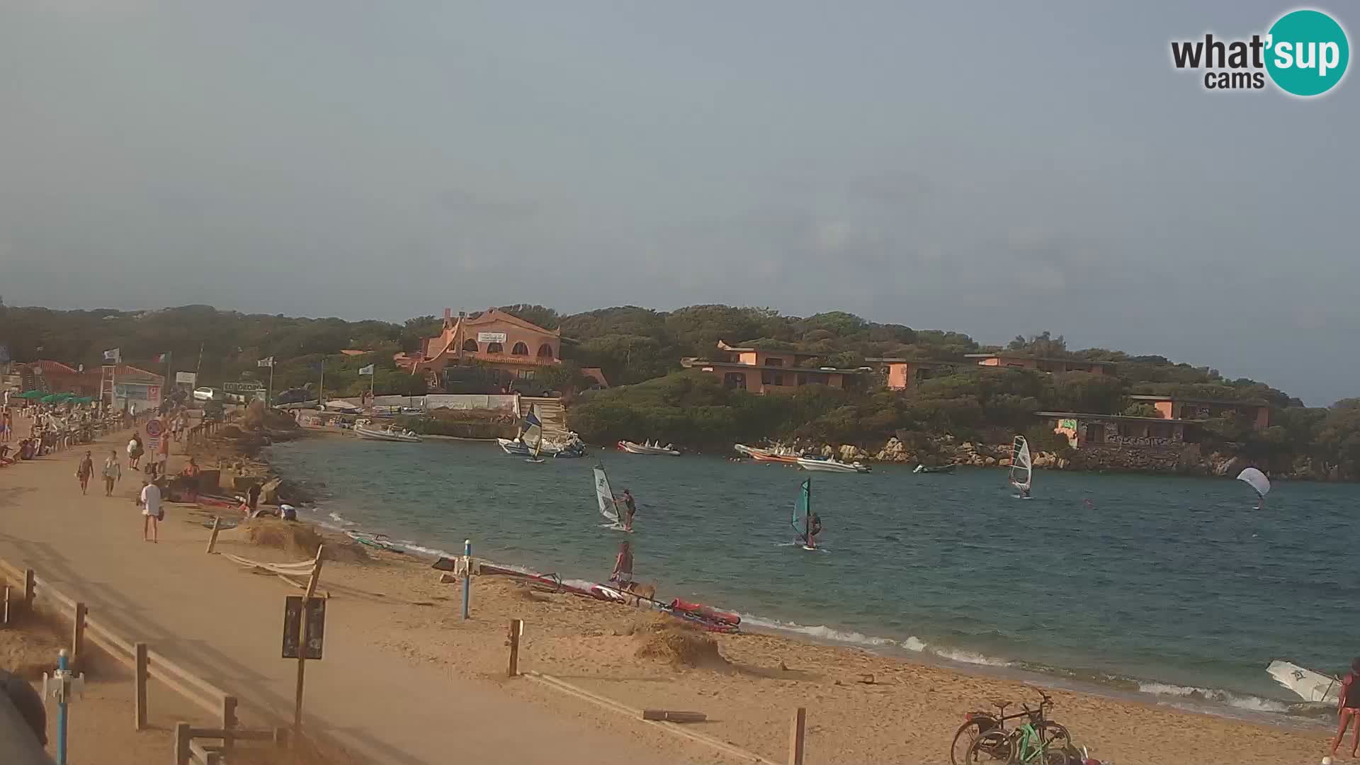 Porto Pollo spiaggia