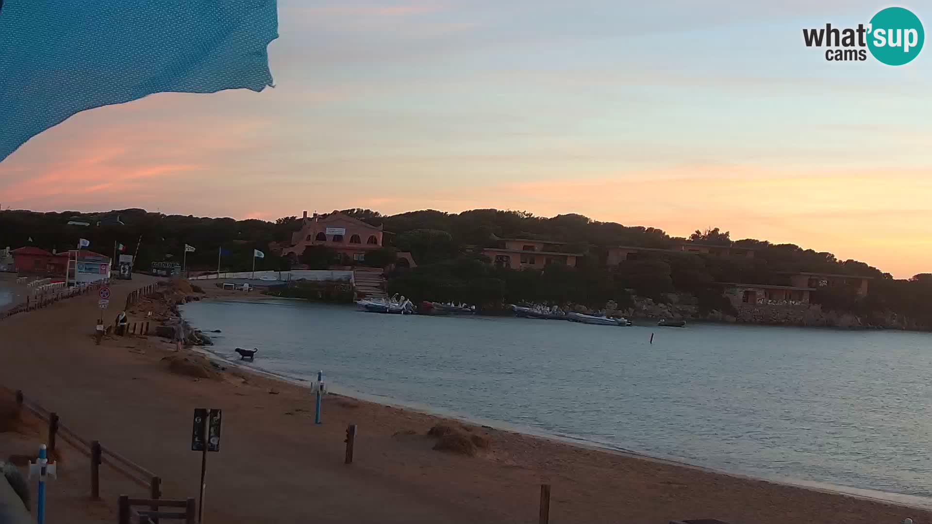 Porto Pollo spiaggia
