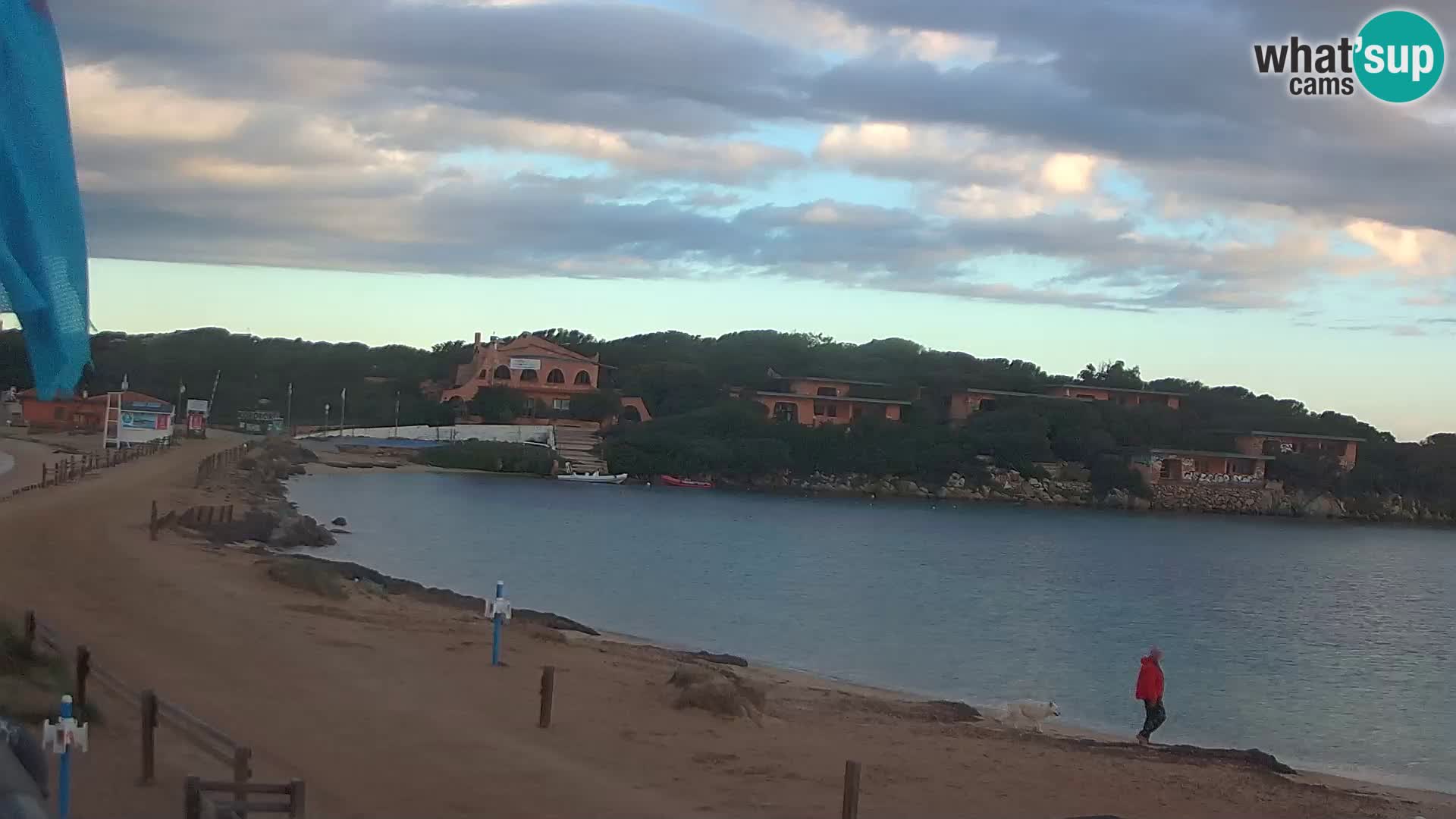 Porto Pollo spiaggia