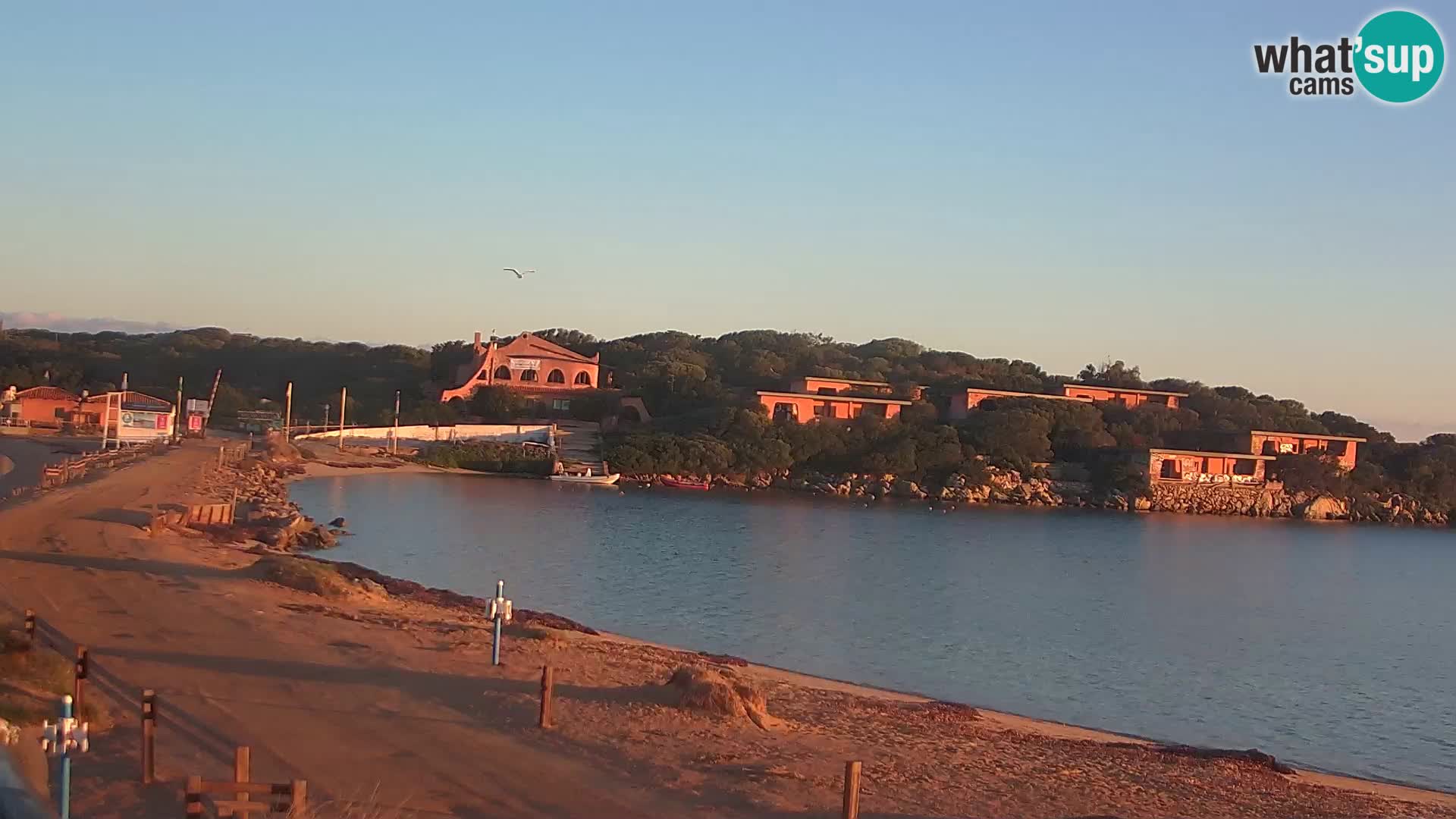 Porto Pollo spiaggia