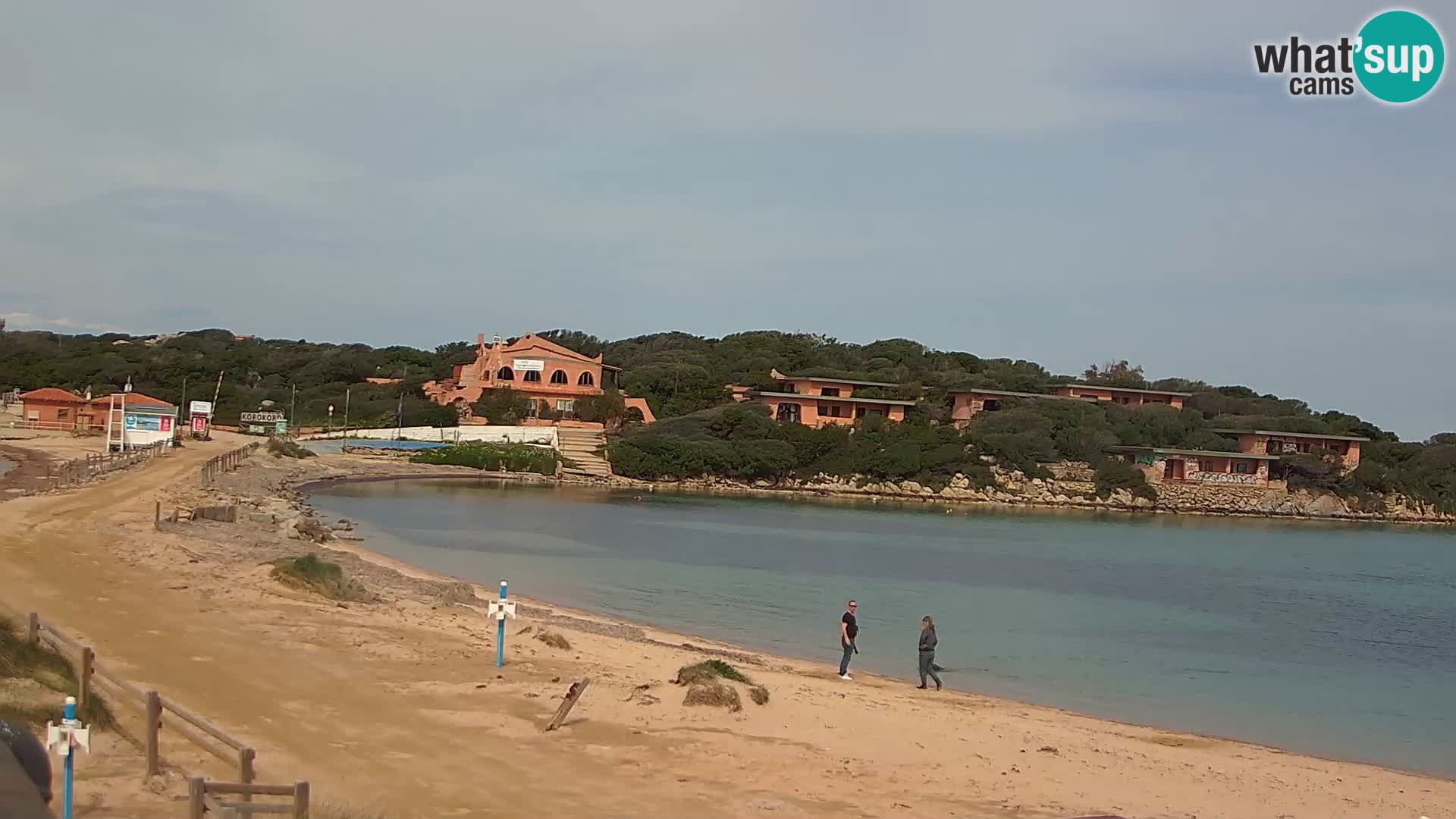 Porto Pollo spiaggia