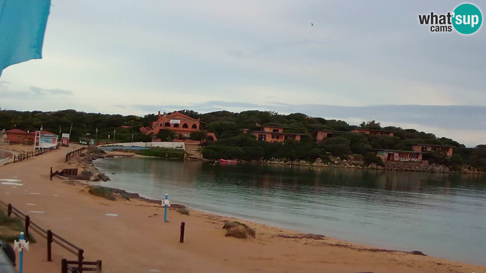 Porto Pollo spiaggia