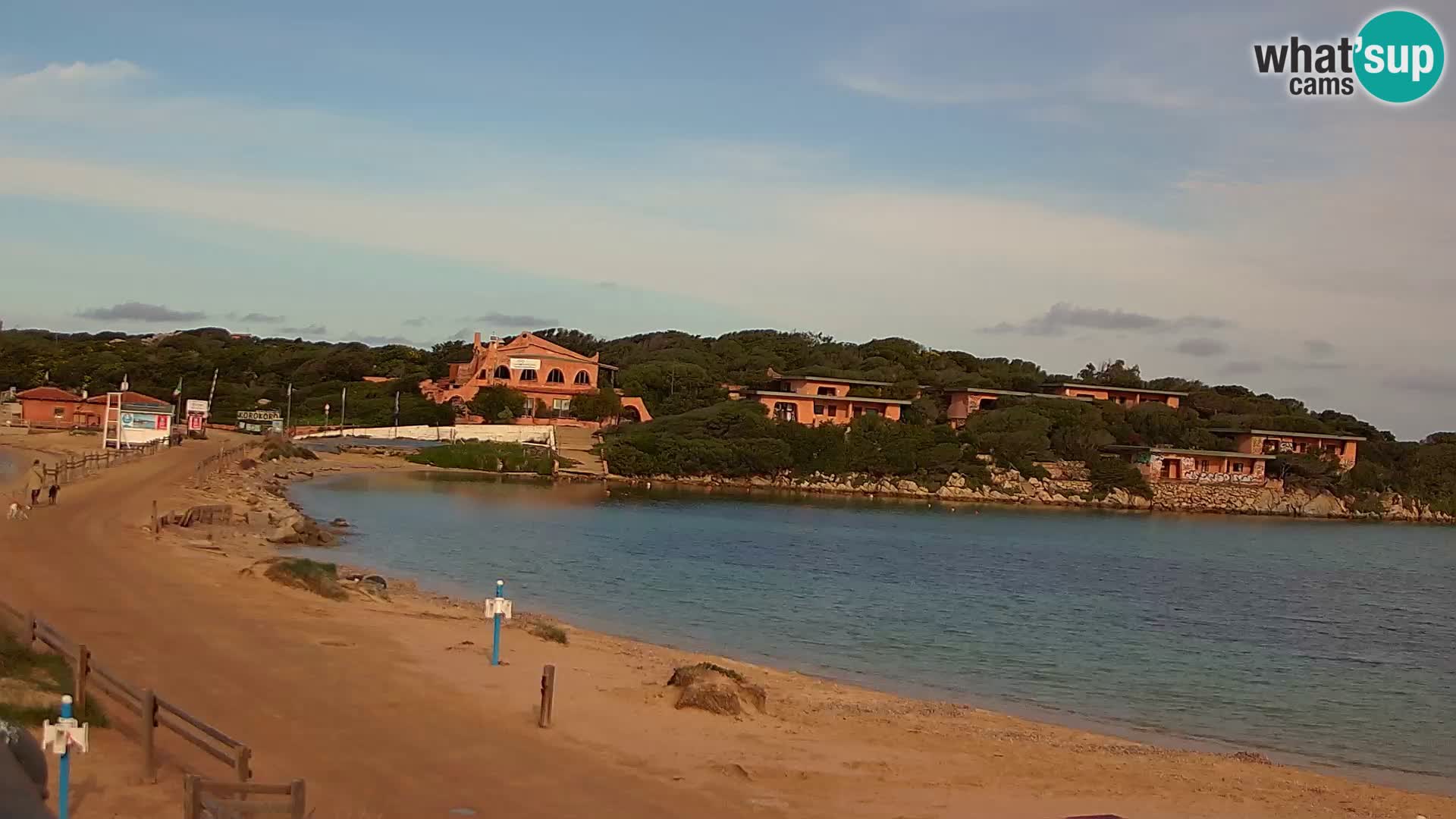 Porto Pollo spiaggia